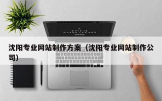 涉县沈阳专业网站制作方案（沈阳专业网站制作公司）